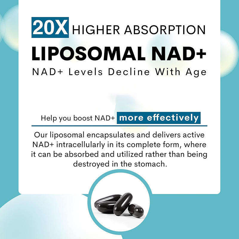Direct NAD+ absorption pathway compared to precursors like NMN and NR