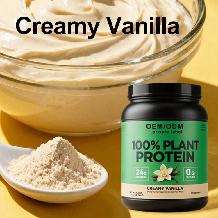 Silky smooth premium plant protein powder in a scoop