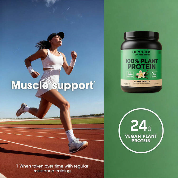 Nutritional breakdown and performance benefits of plant protein